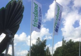 Ludema Hoveniers - Bestratingen  groenonderhoud - Friesland Lease drachten